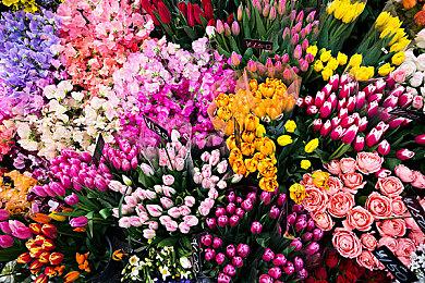 《龙腾世纪4》技能树很庞大 游戏等级上限为50级